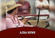 AJBA NEWS