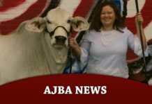 AJBA News