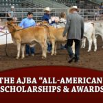 featured-all-american-scholarships