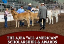 The AJBA “All-American” Scholarships & Awards