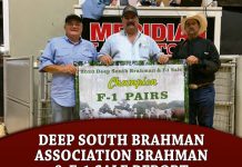 Deep South Brahman Association Brahman & F-1 Sale Report
