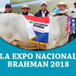 featured-expo-naciona-brahmnan