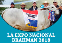 Expo Nacional Brahman 2018