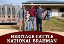 Heritage Cattle Company National Brahman Show Field Day