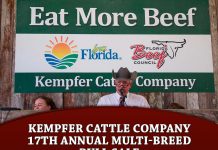 Kempfer Cattle Company 17th Annual Multi-Breed Bull Sale