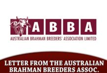 Letter From the Australian Brahman Breeders Association