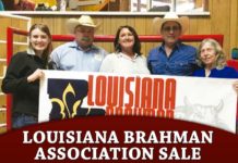 Louisiana Brahman Association Sale Results