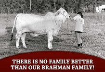 There Is No Family Better Than Our Brahman Family!