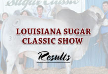 2017 Sugar Classic Show Results