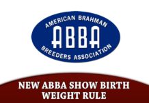 New Abba Show Birth Weight Rule