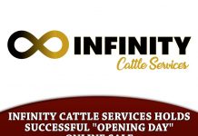 Infinity Cattle Services Holds Successful “Opening Day” Online Sale