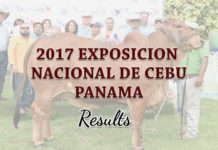 2017 Exposición Nacional de Cebu Panama