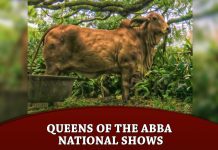 Queens of the ABBA National Shows