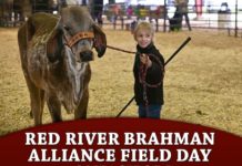 Red River Brahman Alliance Field Day and Show