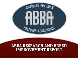ABBA Research & Breed Improvement Report