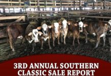 3rd Annual Southern Classic Sale