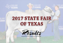 2017 State Fair of Texas
