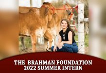 The Brahman Foundation 2022 Summer Intern