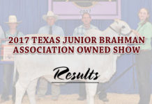 2017 Texas Junior Brahman Association Owned Show