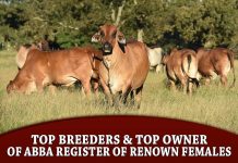 Top Breeders & Top Owner of ABBA Register of Renown Females