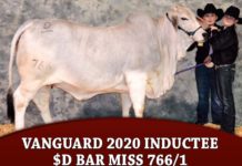 Vanguard 2020 Inductee $D BAR MISS 766/1
