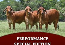 Performance Special Edition