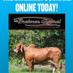 magazine-blue-cover-01-jan