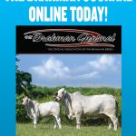 magazine-blue-cover-03-march