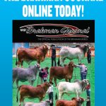 magazine-blue-cover-04-april