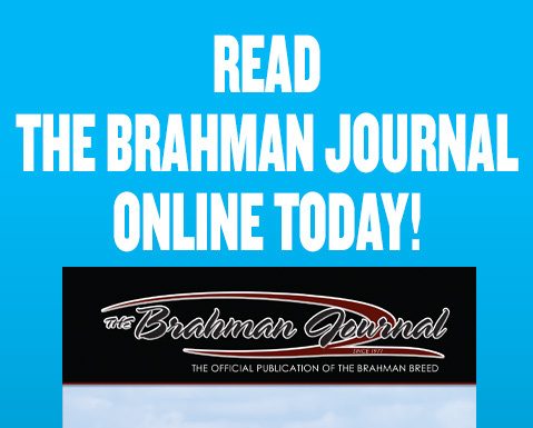 2026 August – Brahman Journal