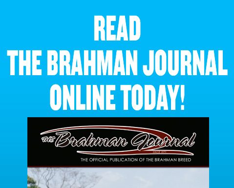 2025 December – Brahman Journal