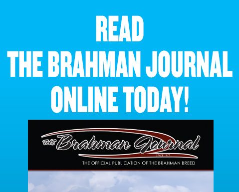 2025 February – Brahman Journal