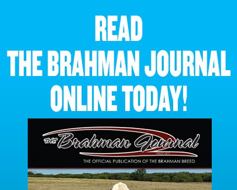 2026 June – Brahman Journal