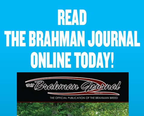 2026 September – Brahman Journal