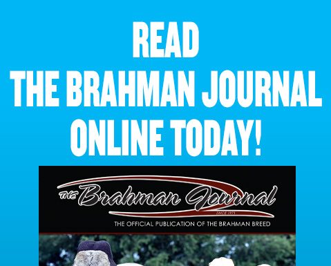 2026 July – Brahman Journal