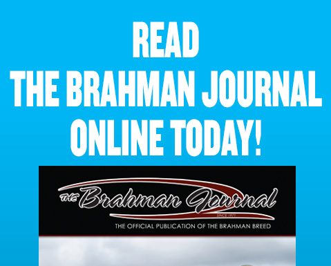 2026 May – Brahman Journal