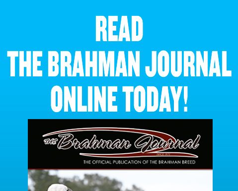 2025 November – Brahman Journal