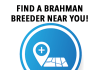 Brahman Breeder Map
