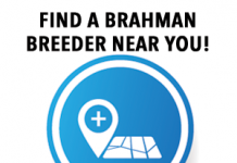 Brahman Breeder Map