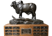 V8 Ranch Wins the 2016 HK Memorial Trophy memorial-trophy-ABBA-sponsor-of-the-year