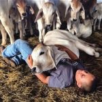 #mybrahmanjournalcover26