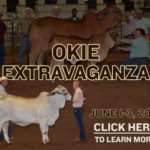 okie-extravaganza-square-ad