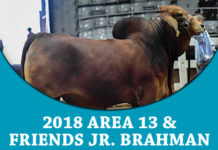 2018 Area 13 & Friends JR. Brahman Blowout