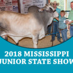 prev-2018MississippiJrShow