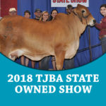 prev-2018TJBAStateShow