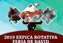 2019 Expica Rotativa Feria de David