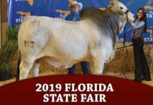 2019 Florida State Fair
