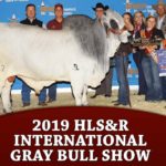 prev-2019hlsr-graybulls