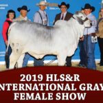 prev-2019hlsr-grayfemales