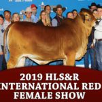 prev-2019hlsr-redfemales